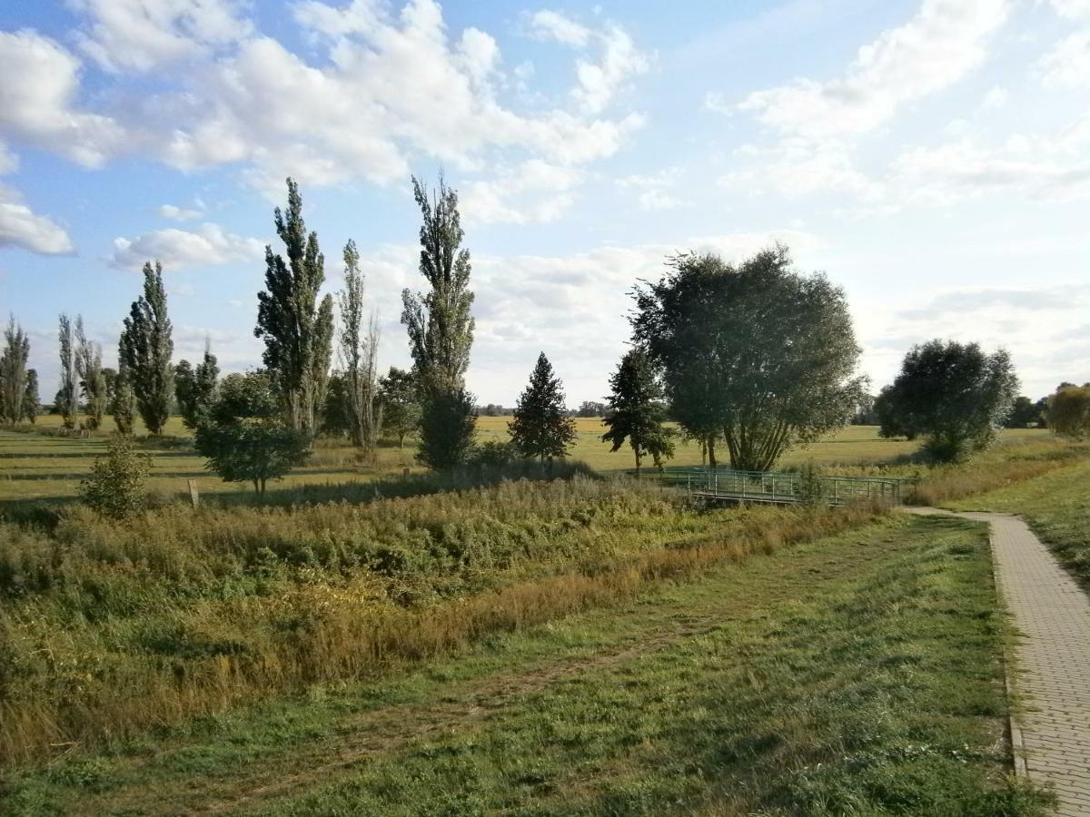 Alles Paletti Mit Klimaanlage Apartment Wittenberg Luaran gambar